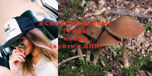 дживик Алзамай