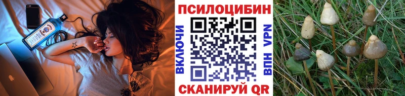 Псилоцибиновые грибы Psilocybe Артёмовск