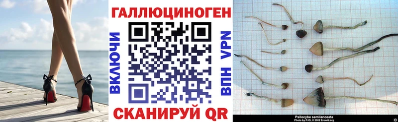 Псилоцибиновые грибы ЛСД  где продают наркотики  Артёмовск 
